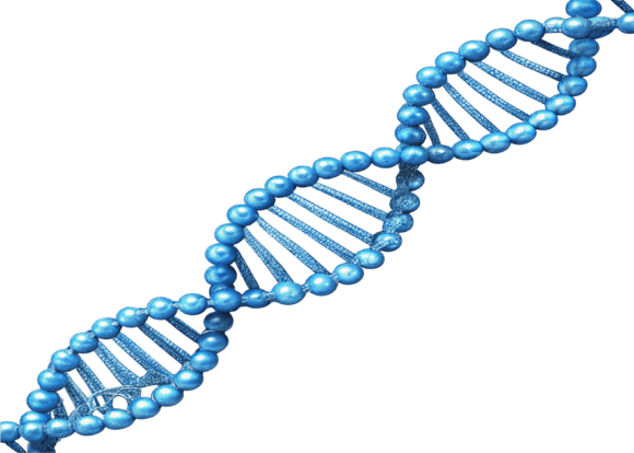 3D DNA Helix Icon in Blue Clipart PNG