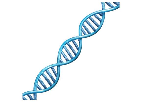 DNA 3D Rendering PNG: The Ultimate Design Resource for Creative Projects